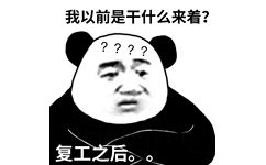 复工之后。。。我以前是干什么来着？熊猫头表情包