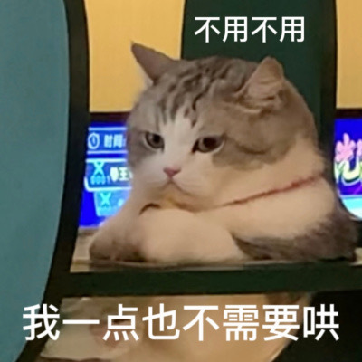 不用不用时我一点也不需要哄(猫猫表情包) - 可爱猫猫表情包