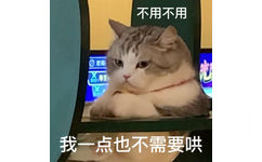 不用不用时我一点也不需要哄(猫猫表情包) - 可爱猫猫表情包