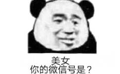 美女 你的微信号是？