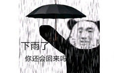 下雨了你还会回来吗