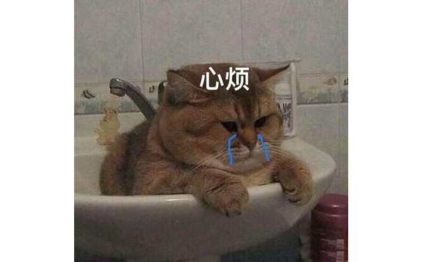 心灯(猫咪)