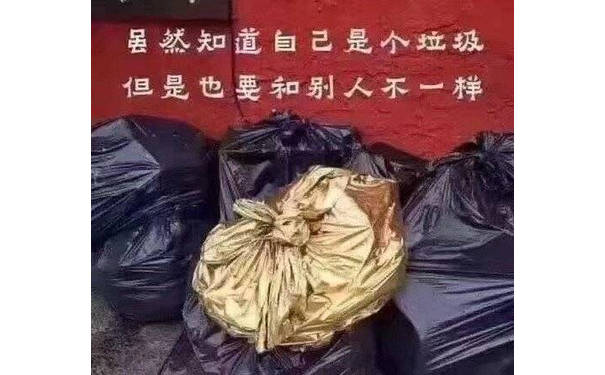 虽然知道自己是个垃圾，但是也要和别人不一样