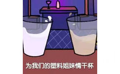 为我们的塑料姐妹情干杯