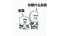 你算什么东西，就是 - 丑逼还发自拍，真不知廉耻！（无节操）