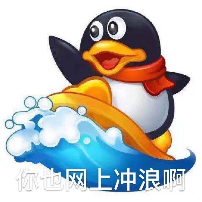 你也网上冲浪阿