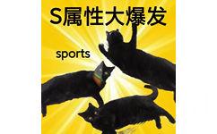 S属性大爆发sports