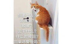 猫咪：你要出去？去哪里？和谁？去干什么？什么时候回？回来还爱我吗？