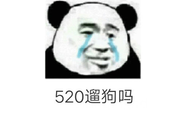 520遛狗吗