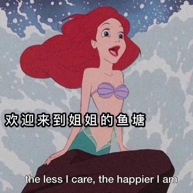 欢迎来到姐姐的鱼塘the less I care, the happier I am - 迪士尼公主表情包