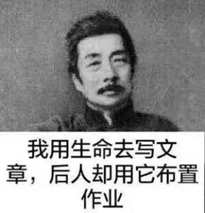 我用生命去写文章,后人却用它布置作业