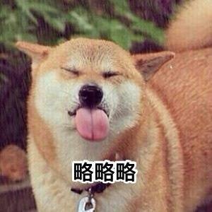 略略略 doge 吐舌头 - 一组柴犬doge微信表情