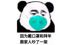 因为戴口罩和拜年跟家人吵了一架 - 过年假期的我