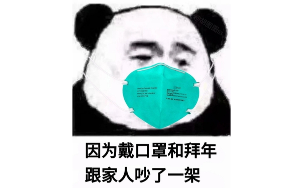 因为戴口罩和拜年跟家人吵了一架 - 过年假期的我