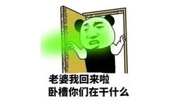 老婆我回来啦，卧槽你们在干什么？绿帽子