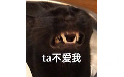 ta不爱我