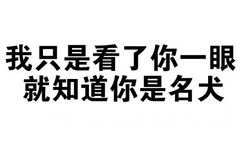 我只是看了你一眼 就知道你是名犬 - 我觉得我很有做经纪人的潜力（纯文字表情）