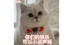 你们的快乐可以小点声吗  猫咪表情包