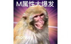 M属性大爆发monkey