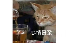 心情复杂(猫猫表情包)