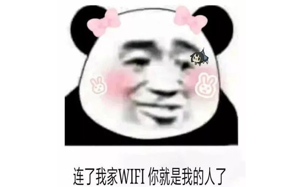 连了我家 WIFI 你就是我的人了 - 熊猫头撩汉表情包