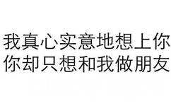 我真心实意地想上你你却只想和我做朋友 - 一组纯文字斗图表情包