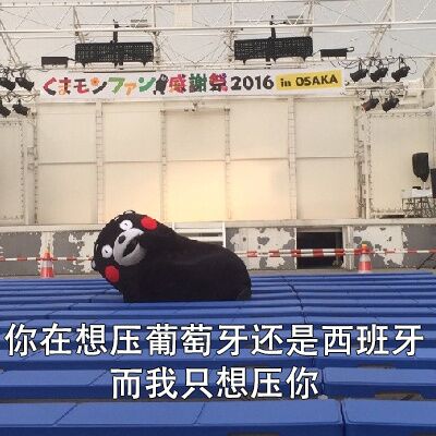 毛>7.感謝祭2016inO5AKA你在想压葡萄牙还是西班牙而我只想压你一 - 世界杯熊本熊土味情话