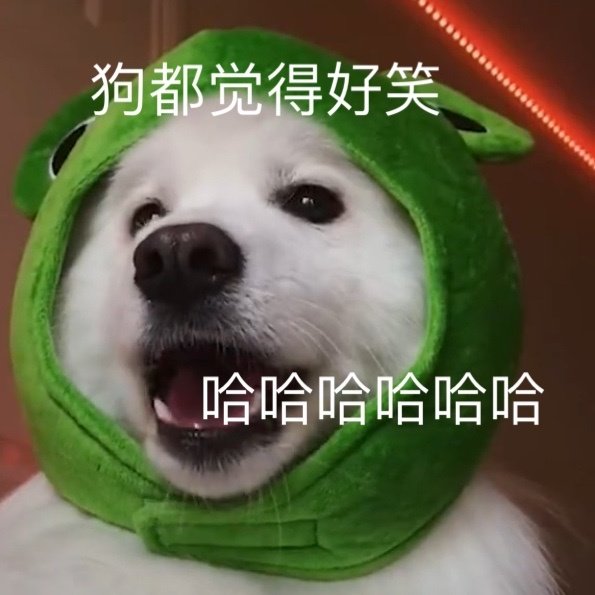 狗都觉得好笑哈哈哈哈哈哈