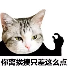 你离挨揍只差这么点 - 一组可爱的猫咪头表情包