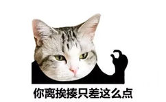 你离挨揍只差这么点 - 一组可爱的猫咪头表情包