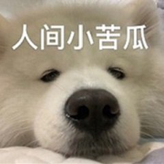 人间小苦瓜