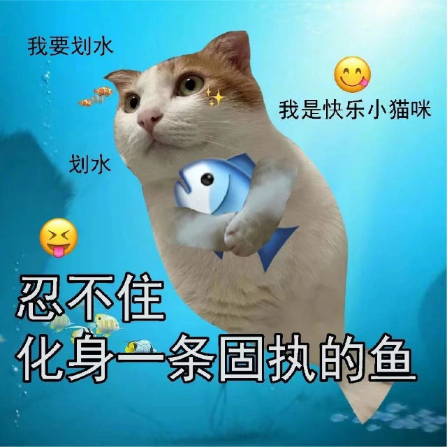 我要划水我是快乐小猫咪划水忍不住化身一条固执的鱼