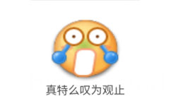 真特么叹为观止 - emoji 小黄脸表情包