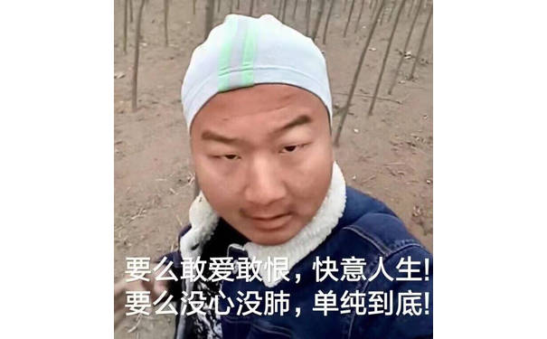 要么敢爱敢恨，快意人生；要么没心没肺，单纯到底（giao哥）