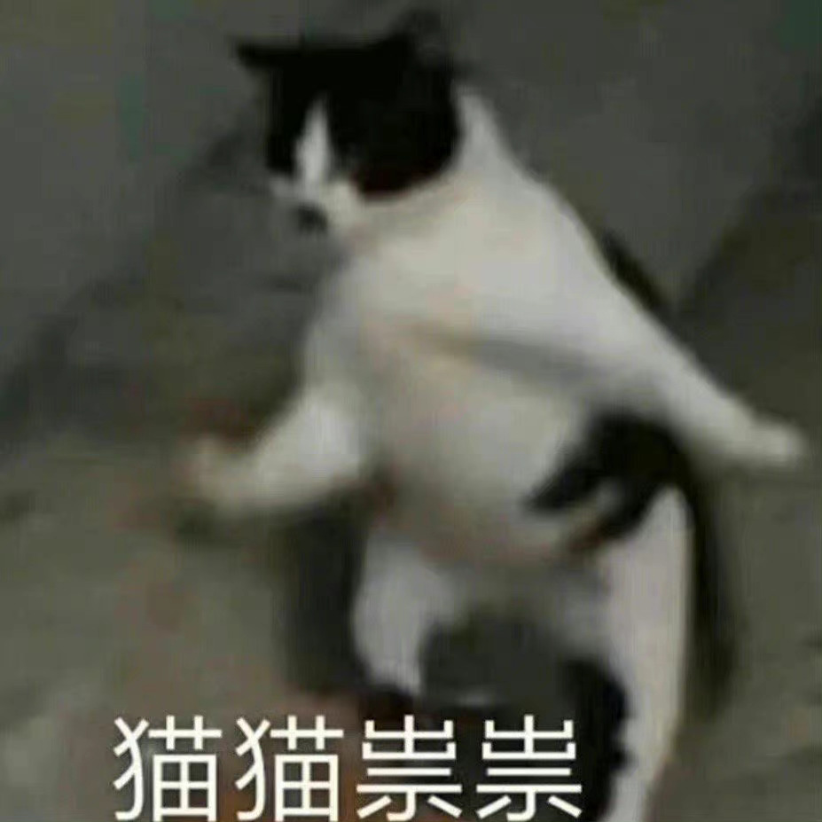 猫猫祟祟