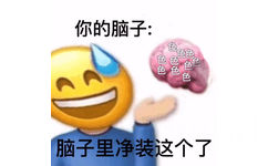 你的脑子:色色色色脑子里净装这个了