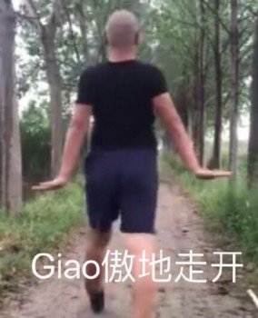 Giao傲地走开(giao哥表情包)