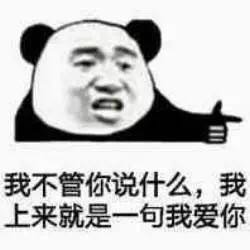 我不管你说什么,我上来就是一句我爱你(熊猫头)