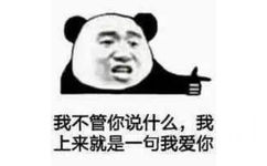 我不管你说什么,我上来就是一句我爱你(熊猫头)