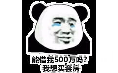 能借我500万吗?我想买套房(熊猫头表情包)