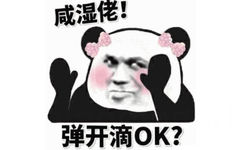 咸湿佬！弹开滴 OK? - 一组魔性的熊猫头动态表情包