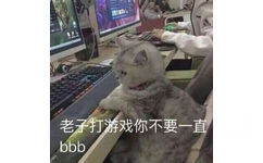 老子打游戏你不要一直 bbbb（喵星人表情包）