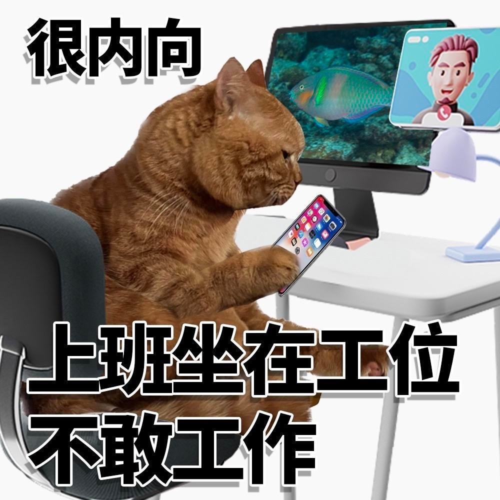 很内向上班坐在工位不敢工作 - 很内向很外向猫猫表情包