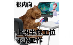 很内向上班坐在工位不敢工作 - 很内向很外向猫猫表情包