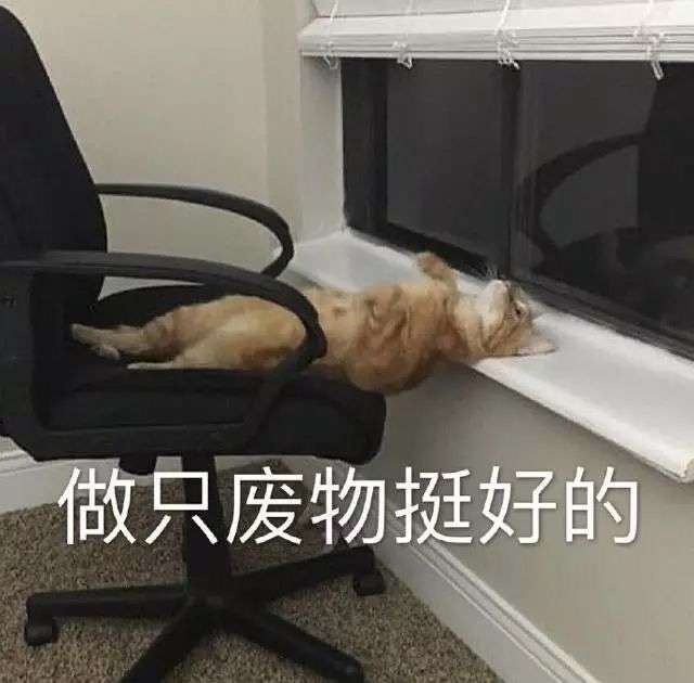 做只废物挺好