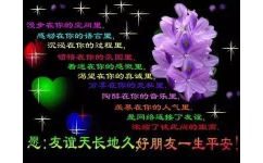 愿：友谊天长地久好朋友一生平安 - 一组中老年表情包