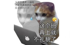 今天又是本小猫咪出卖灵魂和肉体给资本的一天这个班再上就不礼貌了