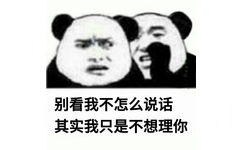 别看我不怎么说话 其实我只是不想理 - 一组【大实话】表情包