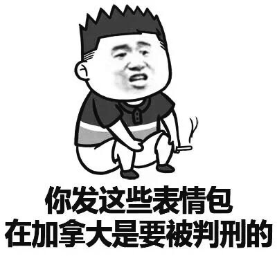 你发这些表情包，在加拿大是要被判刑的 - 别打扰我啃西瓜