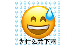 为什么会下雨(小黄脸无语表情包)